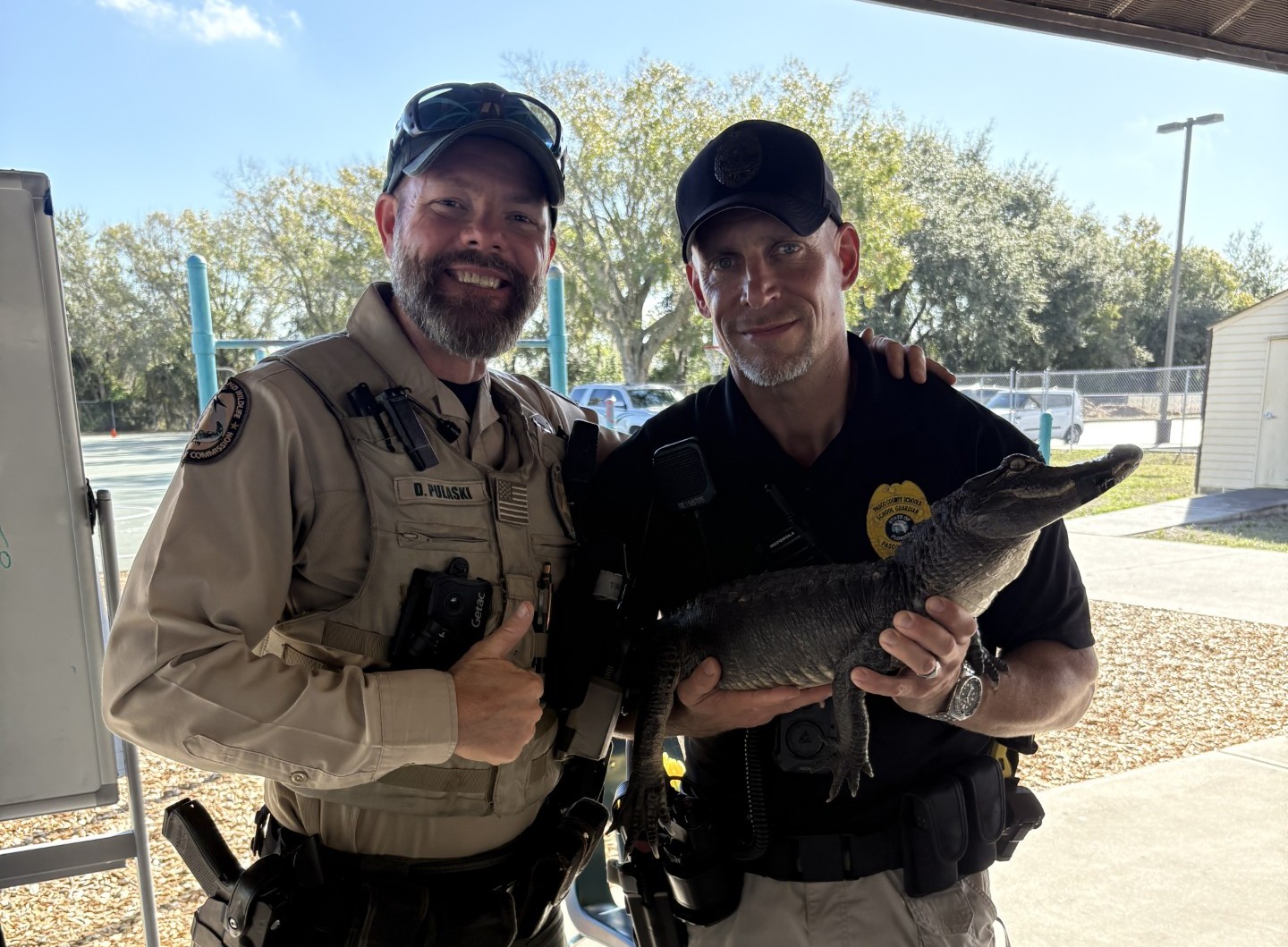 gator visit - 