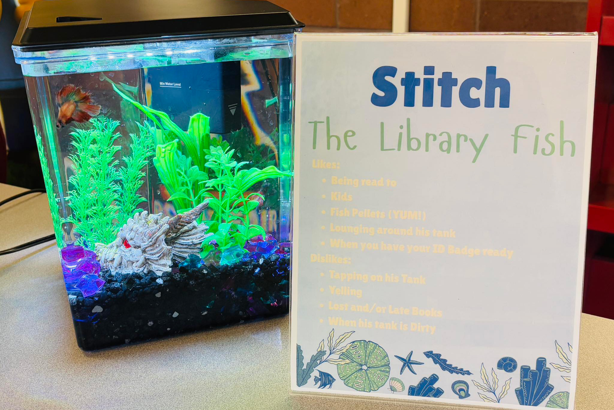 Stitch, the Library Fish - <p>Here are some photos from the year so far!</p>