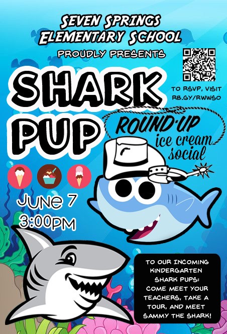 Shark Pup Round Up